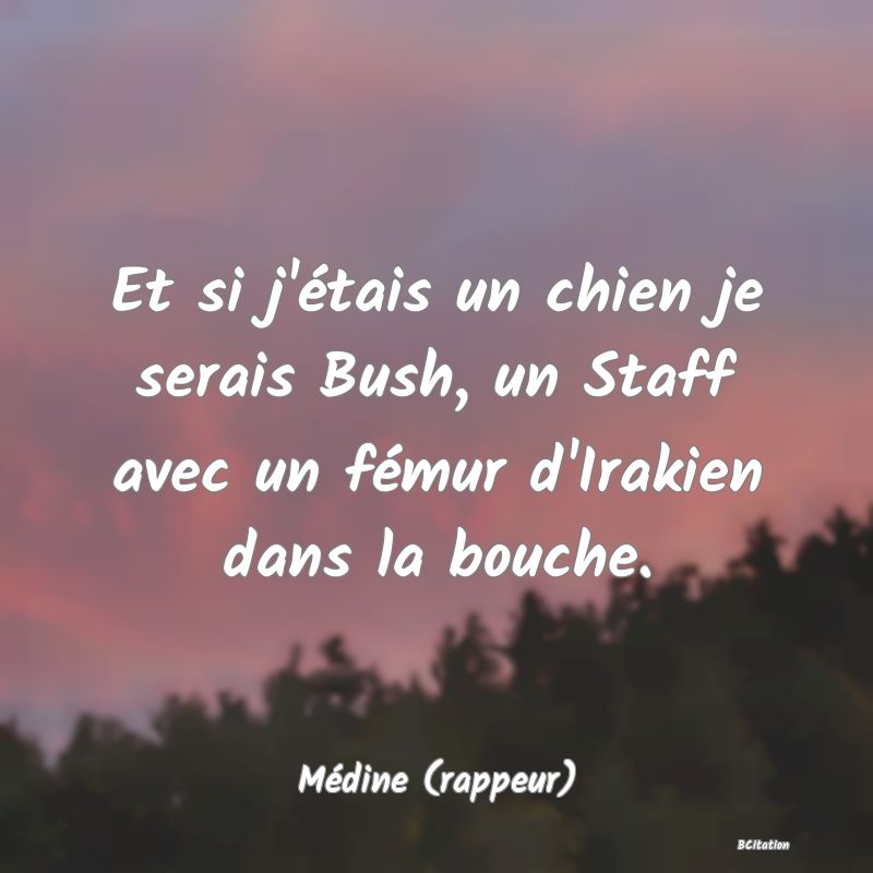 image de citation: Et si j'étais un chien je serais Bush, un Staff avec un fémur d'Irakien dans la bouche.