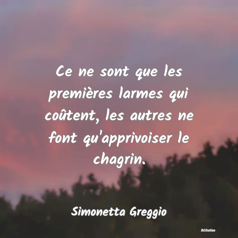 image de citation: Ce ne sont que les premières larmes qui coûtent, les autres ne font qu'apprivoiser le chagrin.