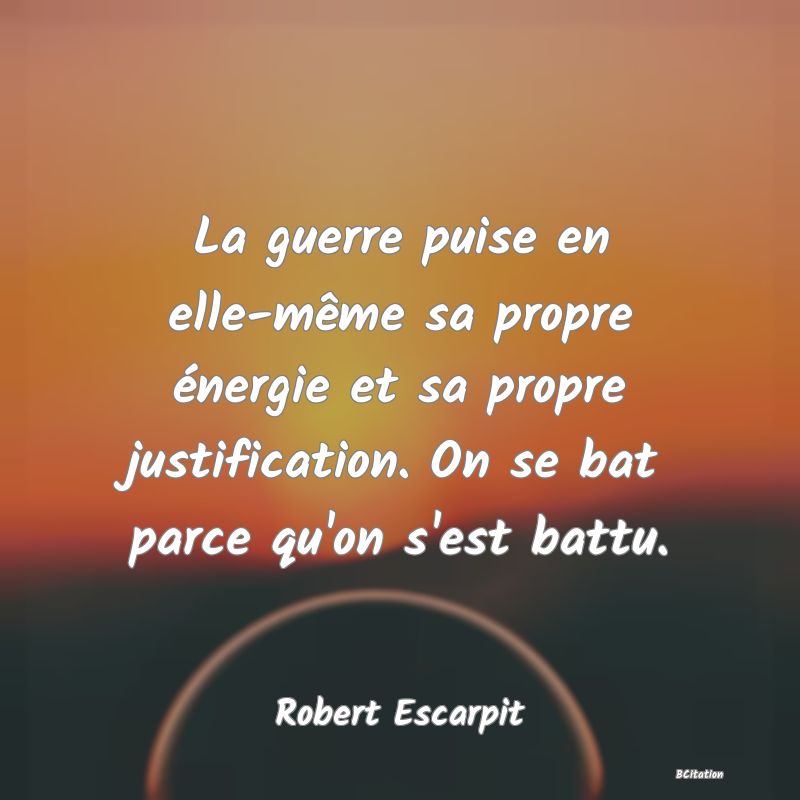 image de citation: La guerre puise en elle-même sa propre énergie et sa propre justification. On se bat parce qu'on s'est battu.