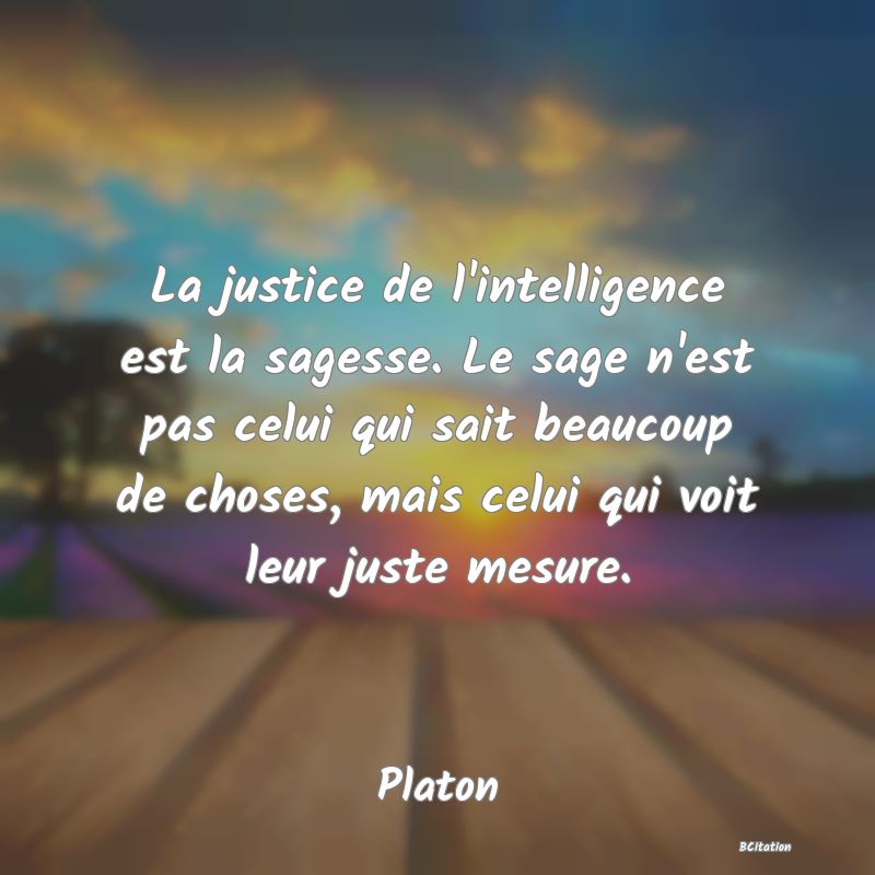 image de citation: La justice de l'intelligence est la sagesse. Le sage n'est pas celui qui sait beaucoup de choses, mais celui qui voit leur juste mesure.
