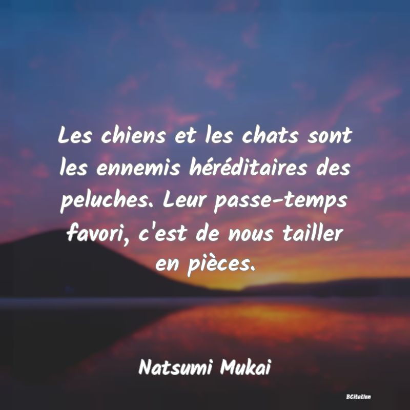 image de citation: Les chiens et les chats sont les ennemis héréditaires des peluches. Leur passe-temps favori, c'est de nous tailler en pièces.