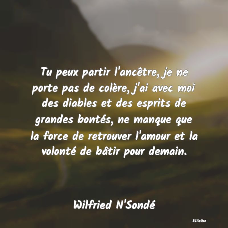 image de citation: Tu peux partir l'ancêtre, je ne porte pas de colère, j'ai avec moi des diables et des esprits de grandes bontés, ne manque que la force de retrouver l'amour et la volonté de bâtir pour demain.