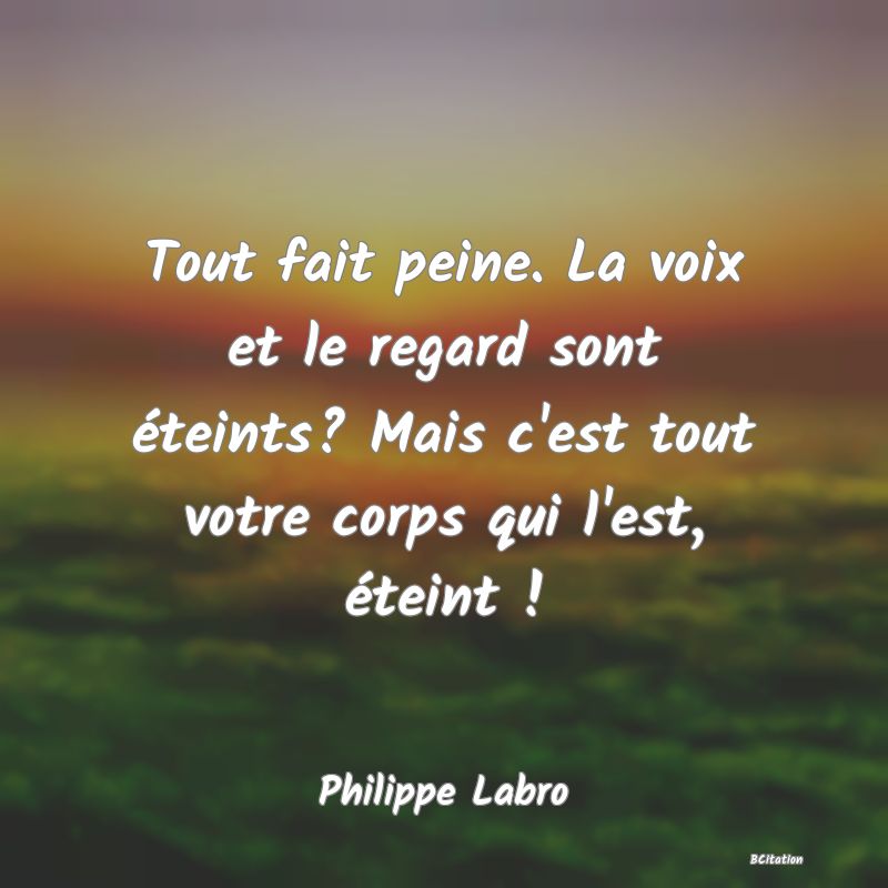 image de citation: Tout fait peine. La voix et le regard sont éteints? Mais c'est tout votre corps qui l'est, éteint !