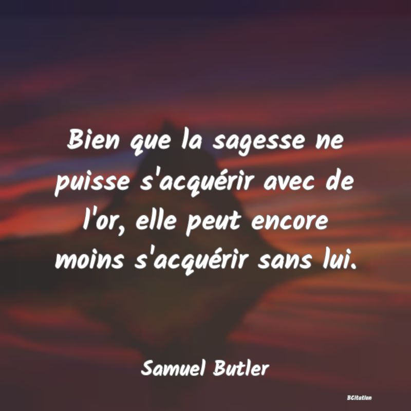 image de citation: Bien que la sagesse ne puisse s'acquérir avec de l'or, elle peut encore moins s'acquérir sans lui.