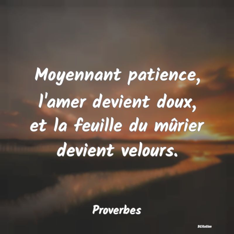 Belle Citation - Moyennant patience, l'amer devient doux, et la feuille du mûrier devient velours. - Proverbes
