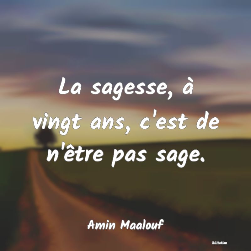 image de citation: La sagesse, à vingt ans, c'est de n'être pas sage.