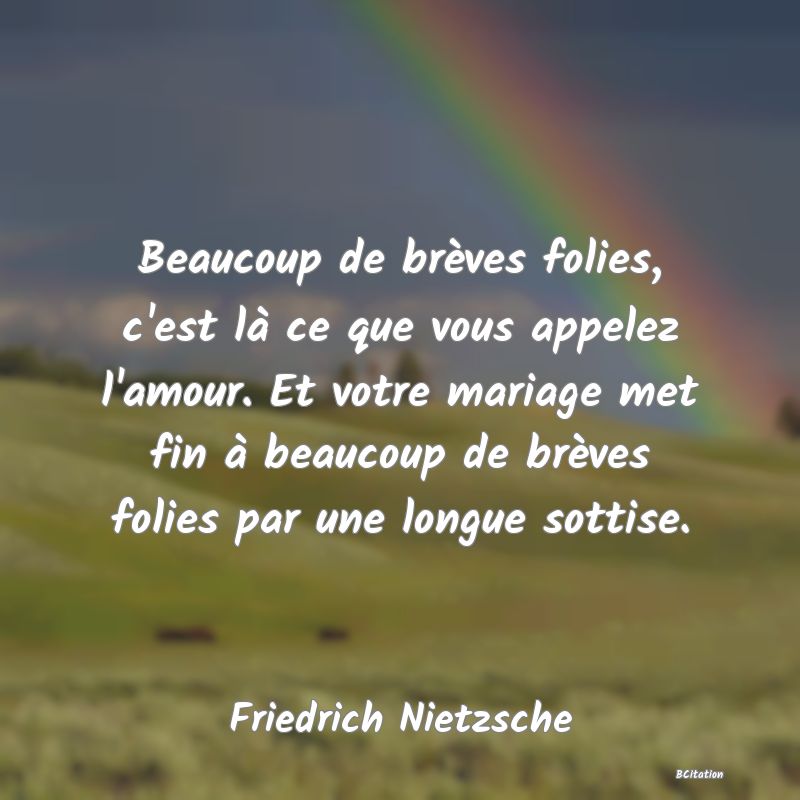 image de citation: Beaucoup de brèves folies, c'est là ce que vous appelez l'amour. Et votre mariage met fin à beaucoup de brèves folies par une longue sottise.