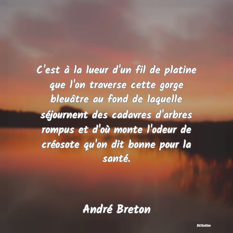 Belle Citation - C'est à la lueur d'un fil de platine que l'on traverse cette gorge bleuâtre au fond de laquelle séjournent des cadavres d'arbres rompus et d'où monte l'odeur de créosote qu'on dit bonne pour la santé. - André Breton