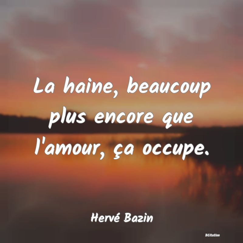 image de citation: La haine, beaucoup plus encore que l'amour, ça occupe.