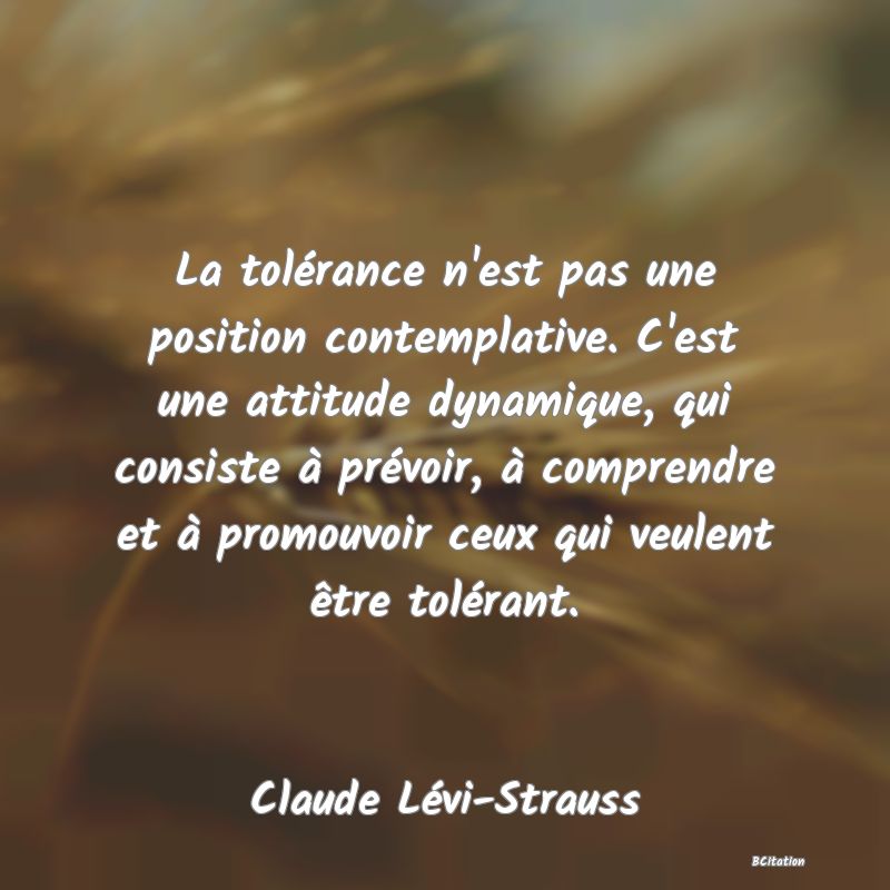 image de citation: La tolérance n'est pas une position contemplative. C'est une attitude dynamique, qui consiste à prévoir, à comprendre et à promouvoir ceux qui veulent être tolérant.