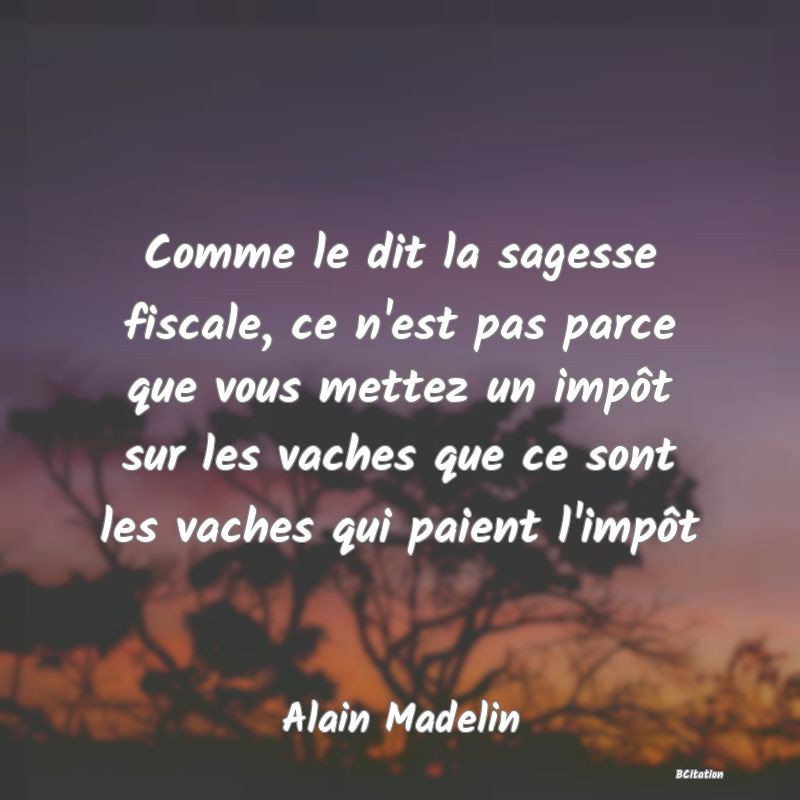 Belle Citation - Comme le dit la sagesse fiscale, ce n'est pas parce que vous mettez un impôt sur les vaches que ce sont les vaches qui paient l'impôt - Alain Madelin
