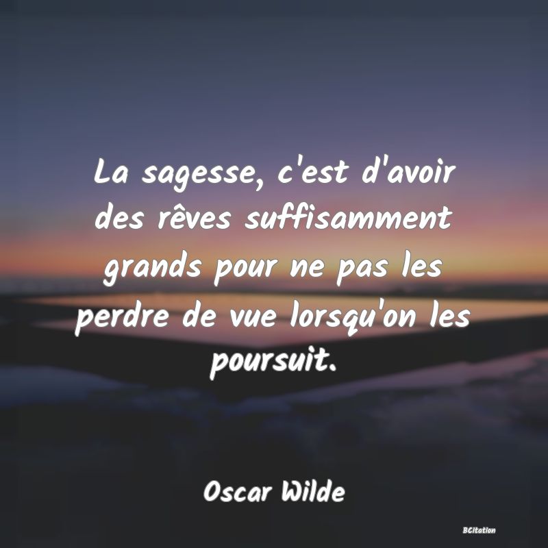 image de citation: La sagesse, c'est d'avoir des rêves suffisamment grands pour ne pas les perdre de vue lorsqu'on les poursuit.