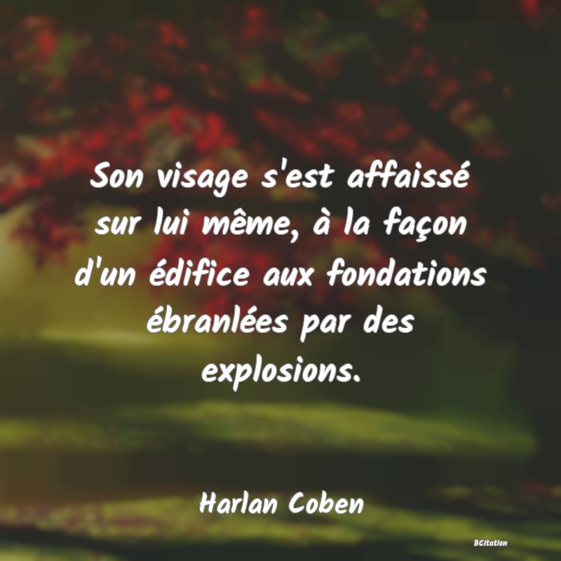 image de citation: Son visage s'est affaissé sur lui même, à la façon d'un édifice aux fondations ébranlées par des explosions.