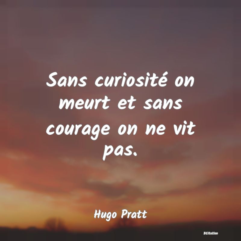 image de citation: Sans curiosité on meurt et sans courage on ne vit pas.