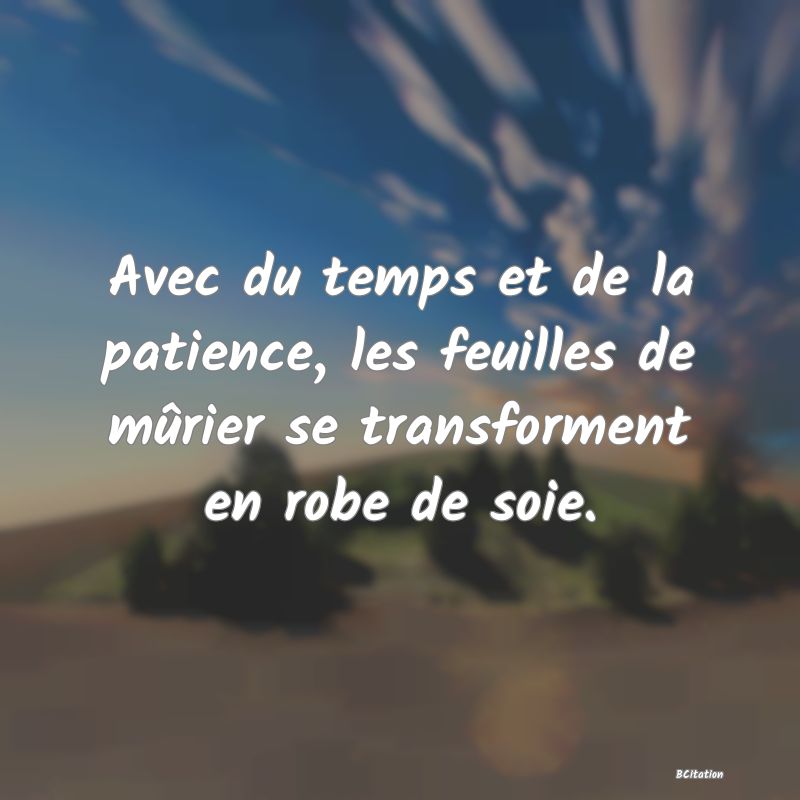 image de citation: Avec du temps et de la patience, les feuilles de mûrier se transforment en robe de soie.