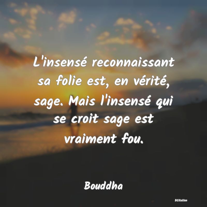 image de citation: L'insensé reconnaissant sa folie est, en vérité, sage. Mais l'insensé qui se croit sage est vraiment fou.