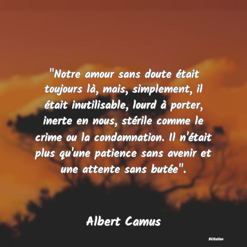 Belle Citation - 