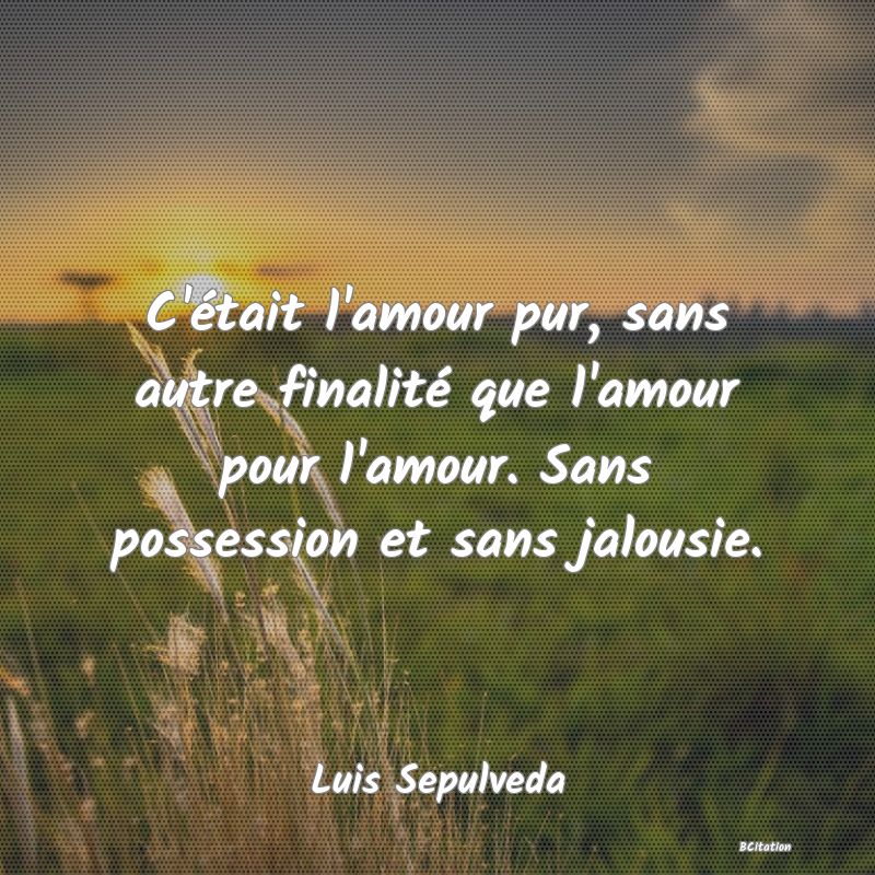 image de citation: C'était l'amour pur, sans autre finalité que l'amour pour l'amour. Sans possession et sans jalousie.