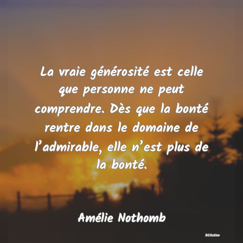 Belle Citation - La vraie générosité est celle que personne ne peut comprendre. Dès que la bonté rentre dans le domaine de l’admirable, elle n’est plus de la bonté. - Amélie Nothomb