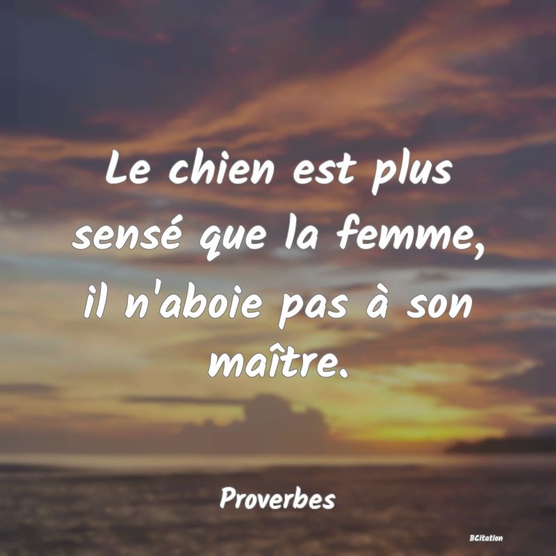 image de citation: Le chien est plus sensé que la femme, il n'aboie pas à son maître.