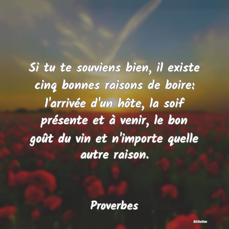 image de citation: Si tu te souviens bien, il existe cinq bonnes raisons de boire: l'arrivée d'un hôte, la soif présente et à venir, le bon goût du vin et n'importe quelle autre raison.