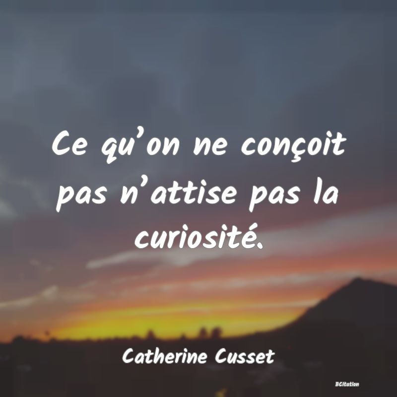 image de citation: Ce qu’on ne conçoit pas n’attise pas la curiosité.