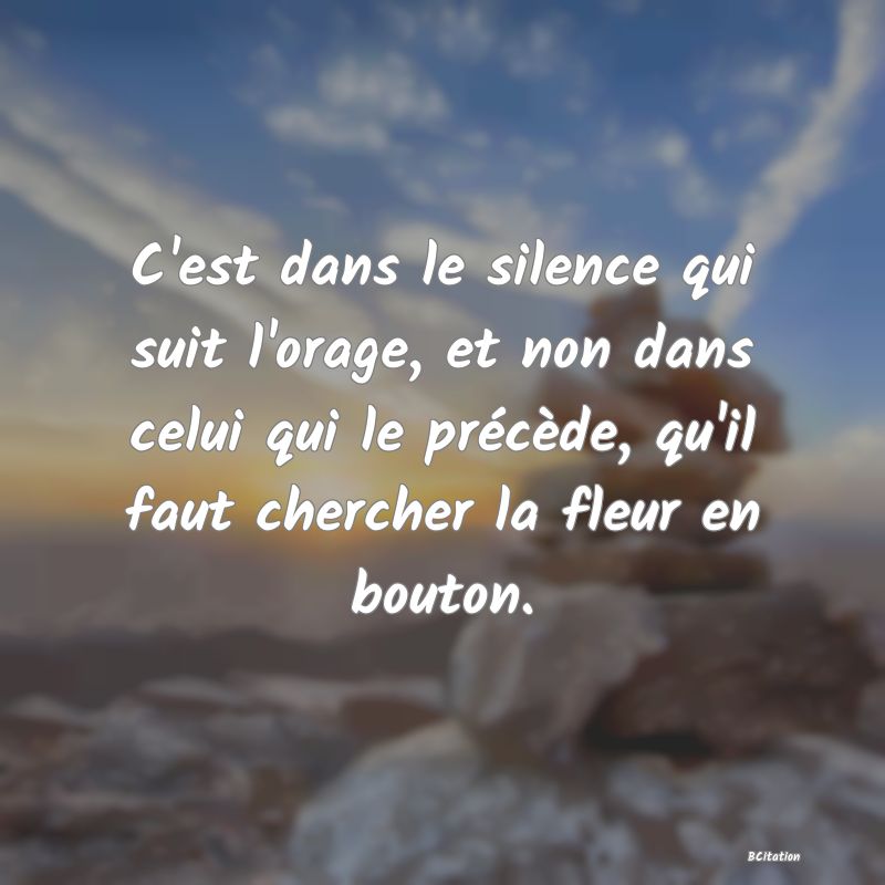 image de citation: C'est dans le silence qui suit l'orage, et non dans celui qui le précède, qu'il faut chercher la fleur en bouton.