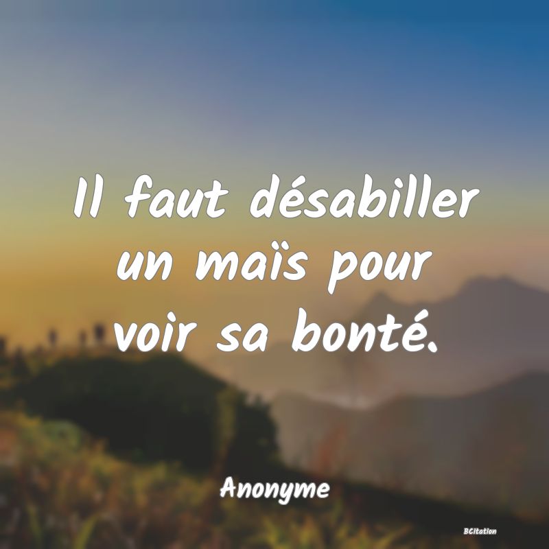 image de citation: Il faut désabiller un maïs pour voir sa bonté.