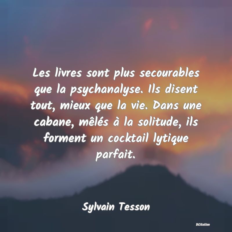 image de citation: Les livres sont plus secourables que la psychanalyse. Ils disent tout, mieux que la vie. Dans une cabane, mêlés à la solitude, ils forment un cocktail lytique parfait.