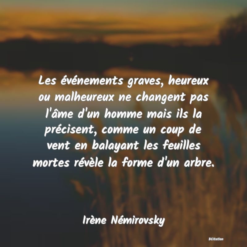 image de citation: Les événements graves, heureux ou malheureux ne changent pas l'âme d'un homme mais ils la précisent, comme un coup de vent en balayant les feuilles mortes révèle la forme d'un arbre.