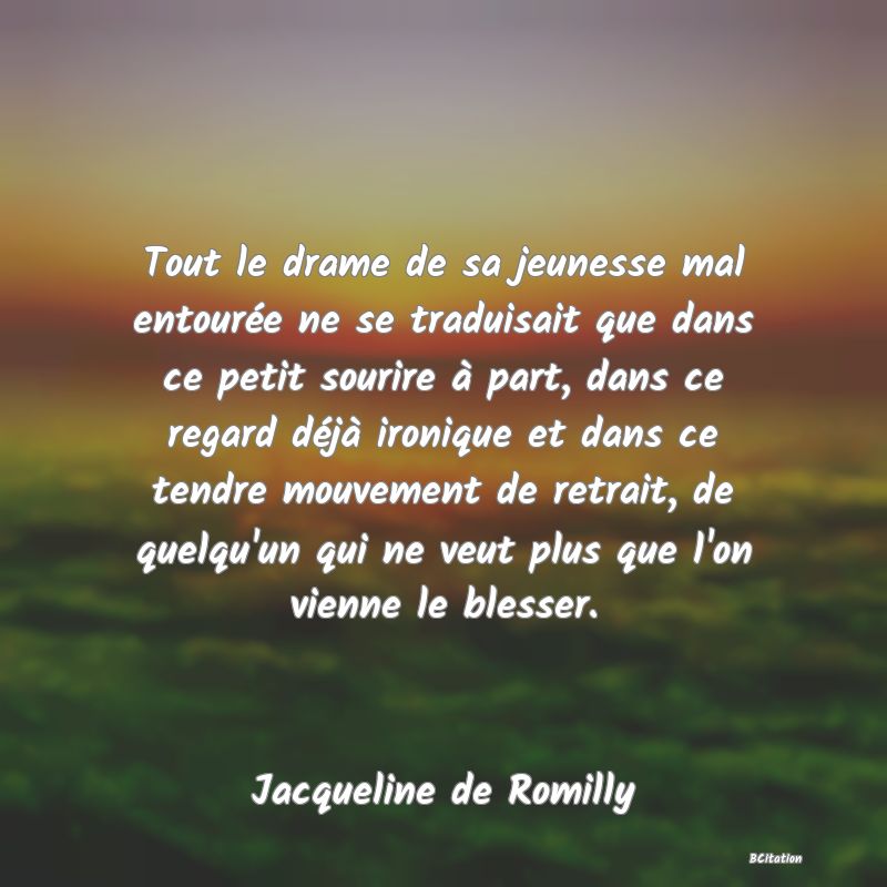 image de citation: Tout le drame de sa jeunesse mal entourée ne se traduisait que dans ce petit sourire à part, dans ce regard déjà ironique et dans ce tendre mouvement de retrait, de quelqu'un qui ne veut plus que l'on vienne le blesser.