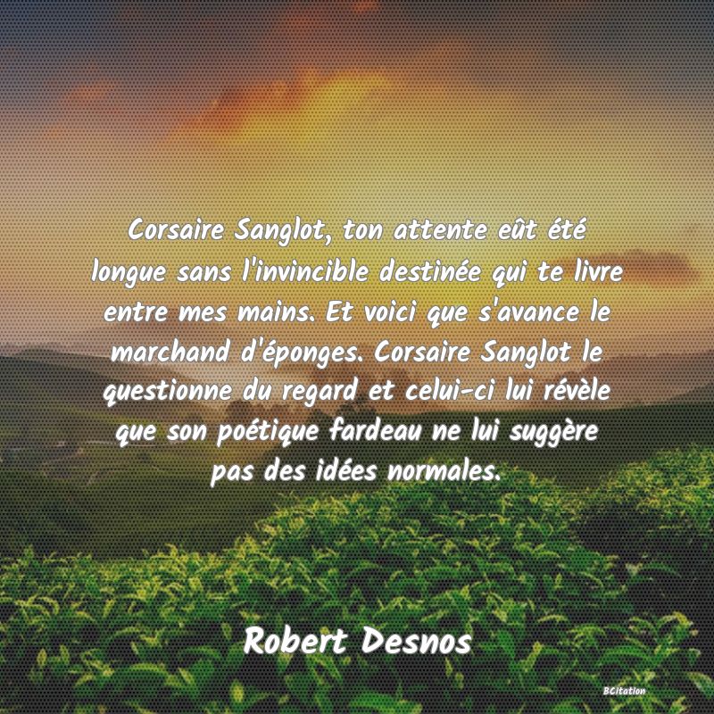 image de citation: Corsaire Sanglot, ton attente eût été longue sans l'invincible destinée qui te livre entre mes mains. Et voici que s'avance le marchand d'éponges. Corsaire Sanglot le questionne du regard et celui-ci lui révèle que son poétique fardeau ne lui suggère pas des idées normales.