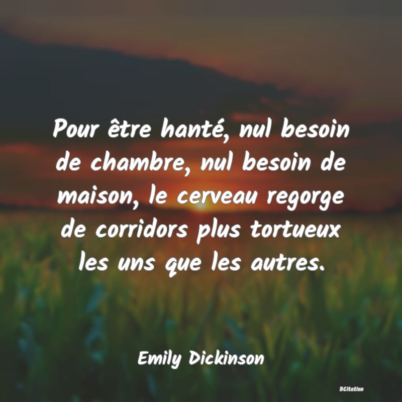 image de citation: Pour être hanté, nul besoin de chambre, nul besoin de maison, le cerveau regorge de corridors plus tortueux les uns que les autres.