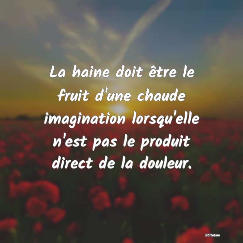 image de citation: La haine doit être le fruit d'une chaude imagination lorsqu'elle n'est pas le produit direct de la douleur.