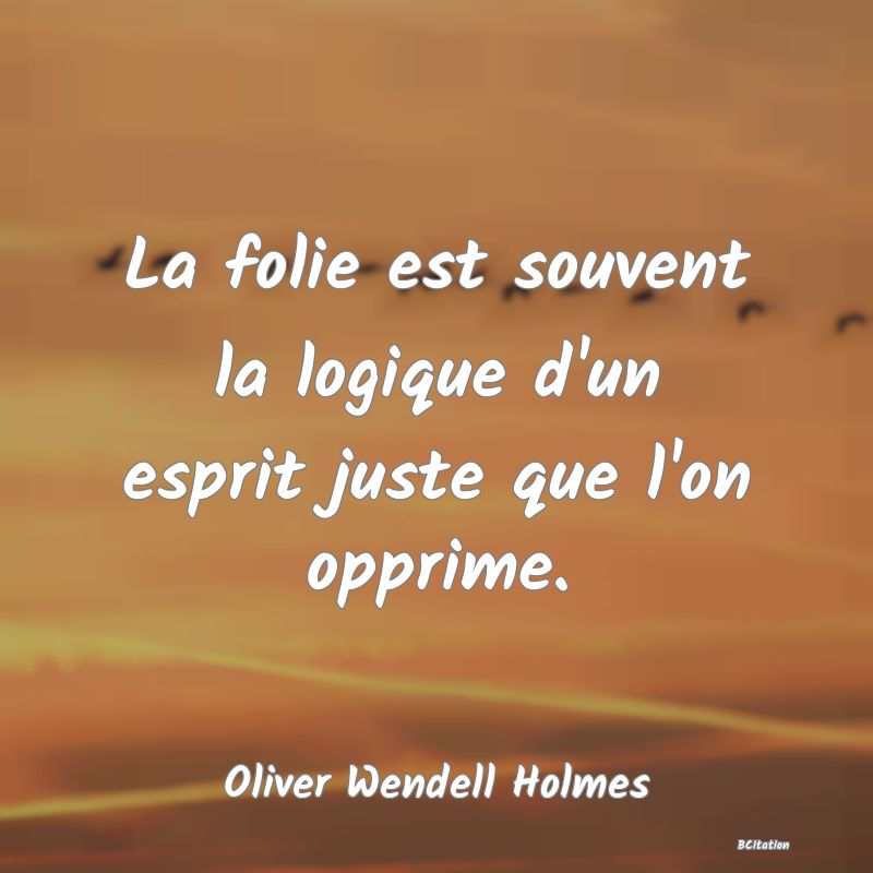 Belle Citation - La folie est souvent la logique d'un esprit juste que l'on opprime. - Oliver Wendell Holmes