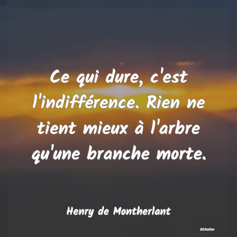 image de citation: Ce qui dure, c'est l'indifférence. Rien ne tient mieux à l'arbre qu'une branche morte.