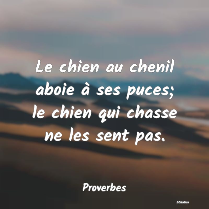 image de citation: Le chien au chenil aboie à ses puces; le chien qui chasse ne les sent pas.