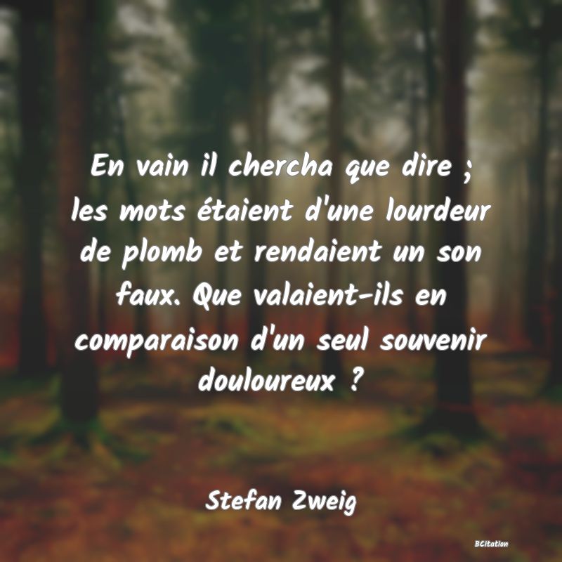 image de citation: En vain il chercha que dire ; les mots étaient d'une lourdeur de plomb et rendaient un son faux. Que valaient-ils en comparaison d'un seul souvenir douloureux ?