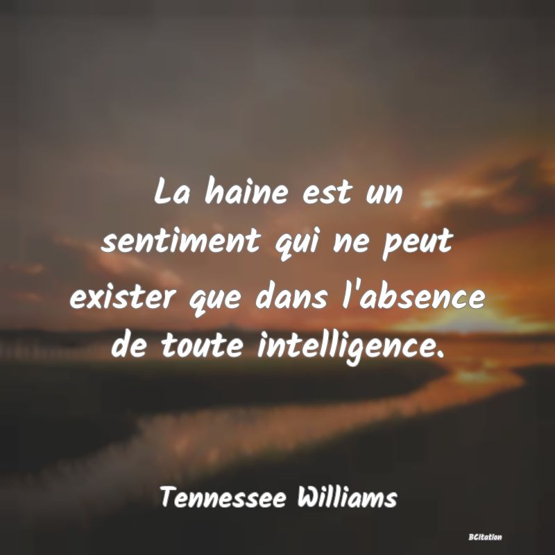 image de citation: La haine est un sentiment qui ne peut exister que dans l'absence de toute intelligence.