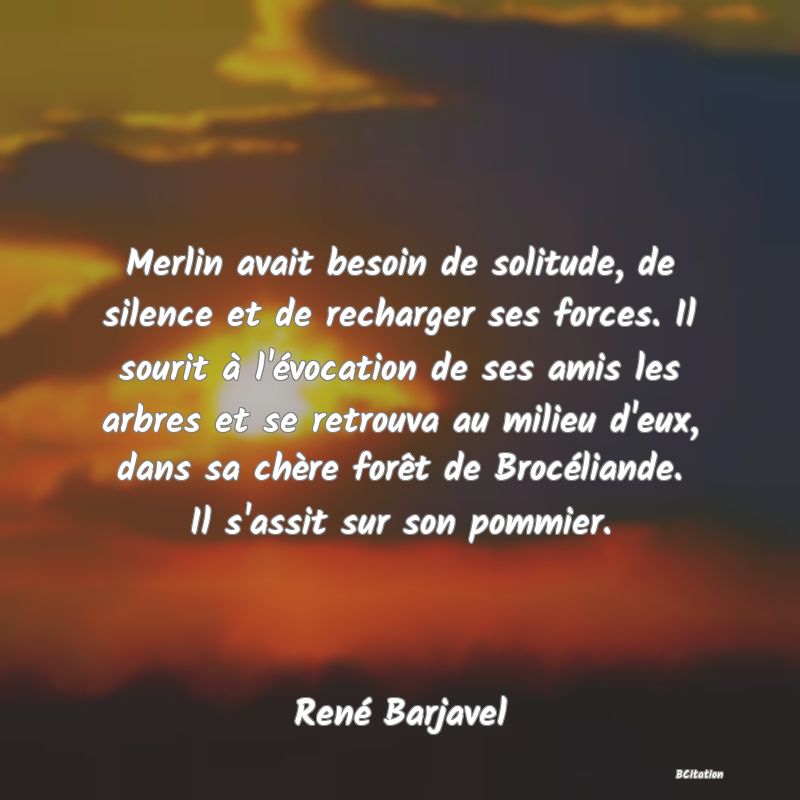 image de citation: Merlin avait besoin de solitude, de silence et de recharger ses forces. Il sourit à l'évocation de ses amis les arbres et se retrouva au milieu d'eux, dans sa chère forêt de Brocéliande. Il s'assit sur son pommier.