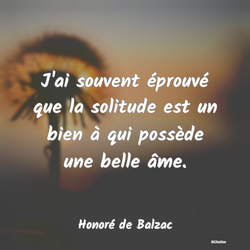 image de citation: J'ai souvent éprouvé que la solitude est un bien à qui possède une belle âme.