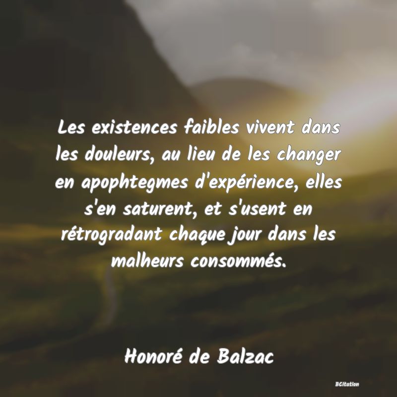 image de citation: Les existences faibles vivent dans les douleurs, au lieu de les changer en apophtegmes d'expérience, elles s'en saturent, et s'usent en rétrogradant chaque jour dans les malheurs consommés.