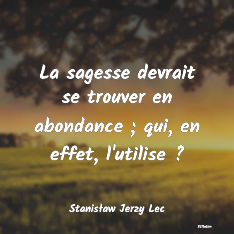 image de citation: La sagesse devrait se trouver en abondance ; qui, en effet, l'utilise ?