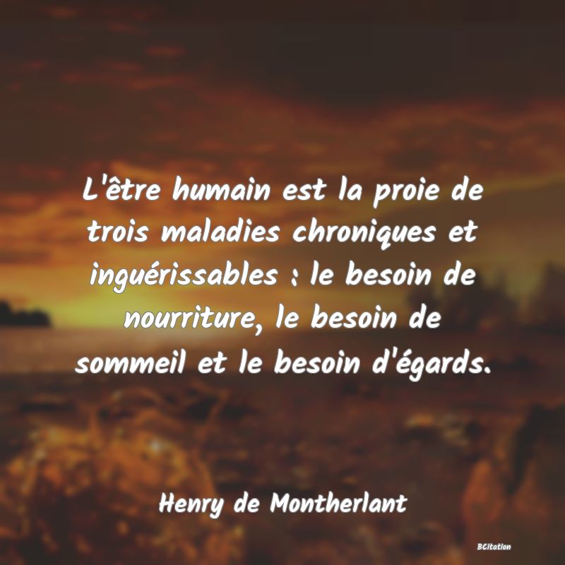 image de citation: L'être humain est la proie de trois maladies chroniques et inguérissables : le besoin de nourriture, le besoin de sommeil et le besoin d'égards.