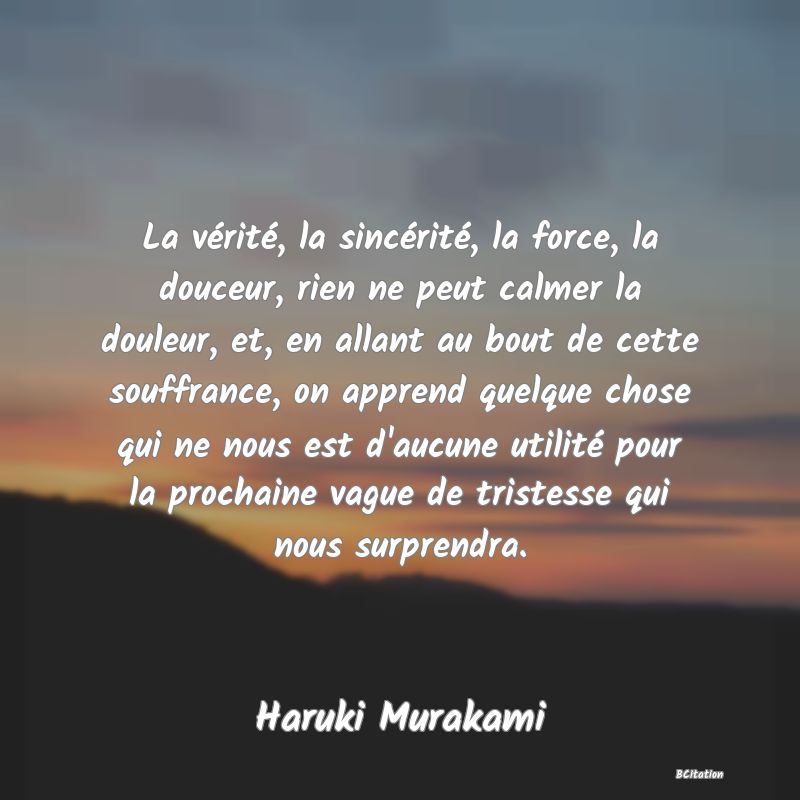 image de citation: La vérité, la sincérité, la force, la douceur, rien ne peut calmer la douleur, et, en allant au bout de cette souffrance, on apprend quelque chose qui ne nous est d'aucune utilité pour la prochaine vague de tristesse qui nous surprendra.