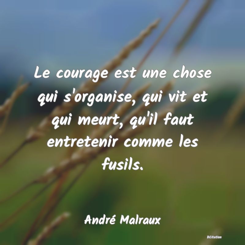 image de citation: Le courage est une chose qui s'organise, qui vit et qui meurt, qu'il faut entretenir comme les fusils.