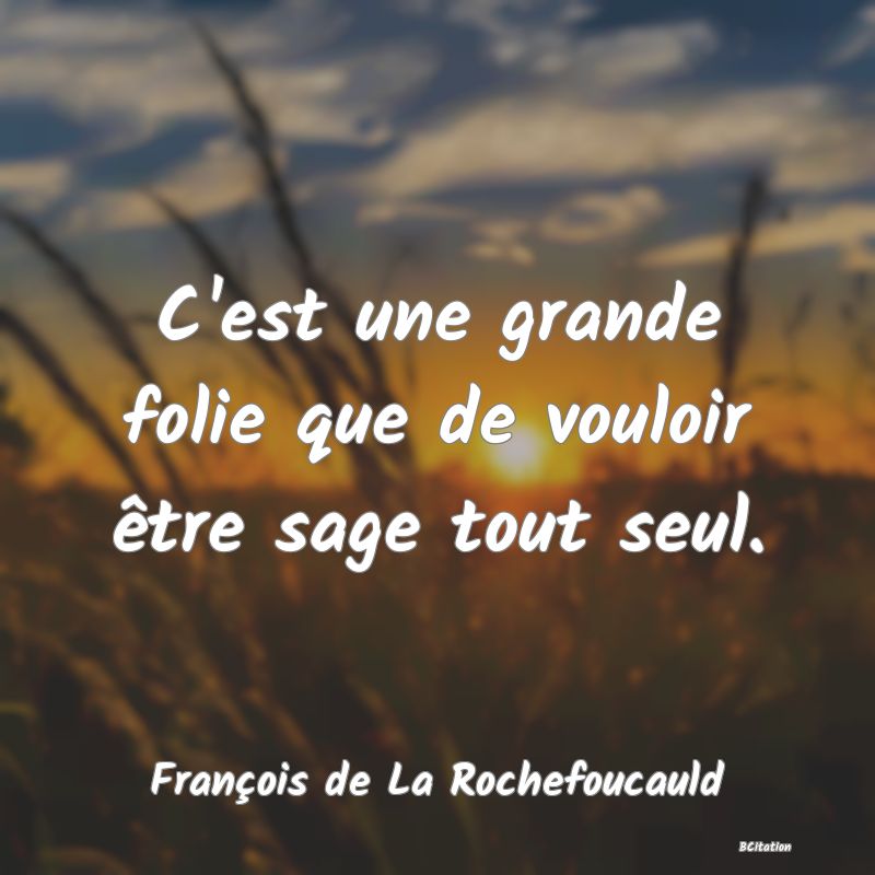 image de citation: C'est une grande folie que de vouloir être sage tout seul.