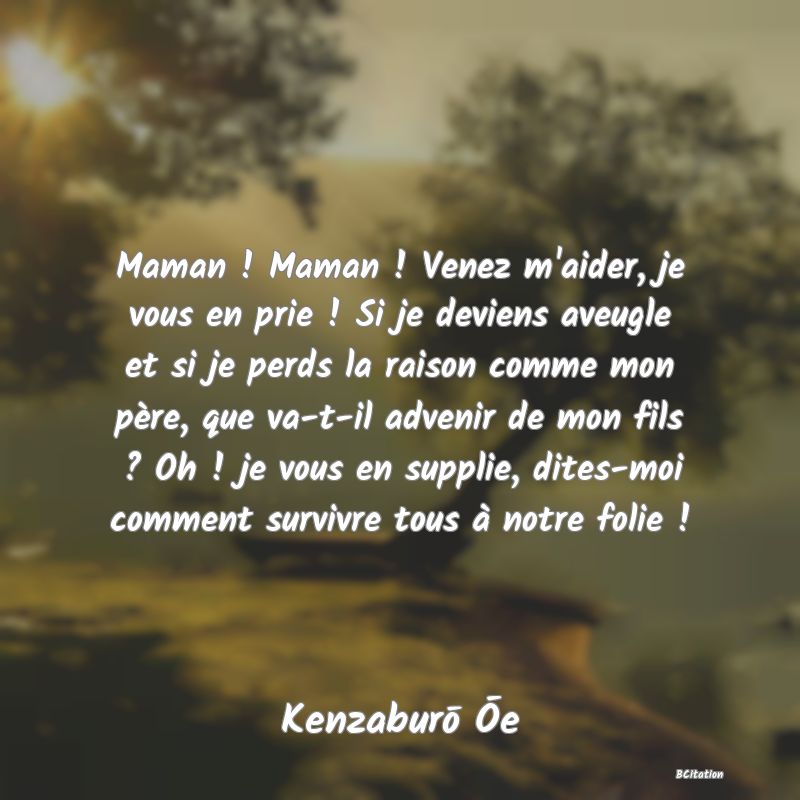 image de citation: Maman ! Maman ! Venez m'aider, je vous en prie ! Si je deviens aveugle et si je perds la raison comme mon père, que va-t-il advenir de mon fils ? Oh ! je vous en supplie, dites-moi comment survivre tous à notre folie !