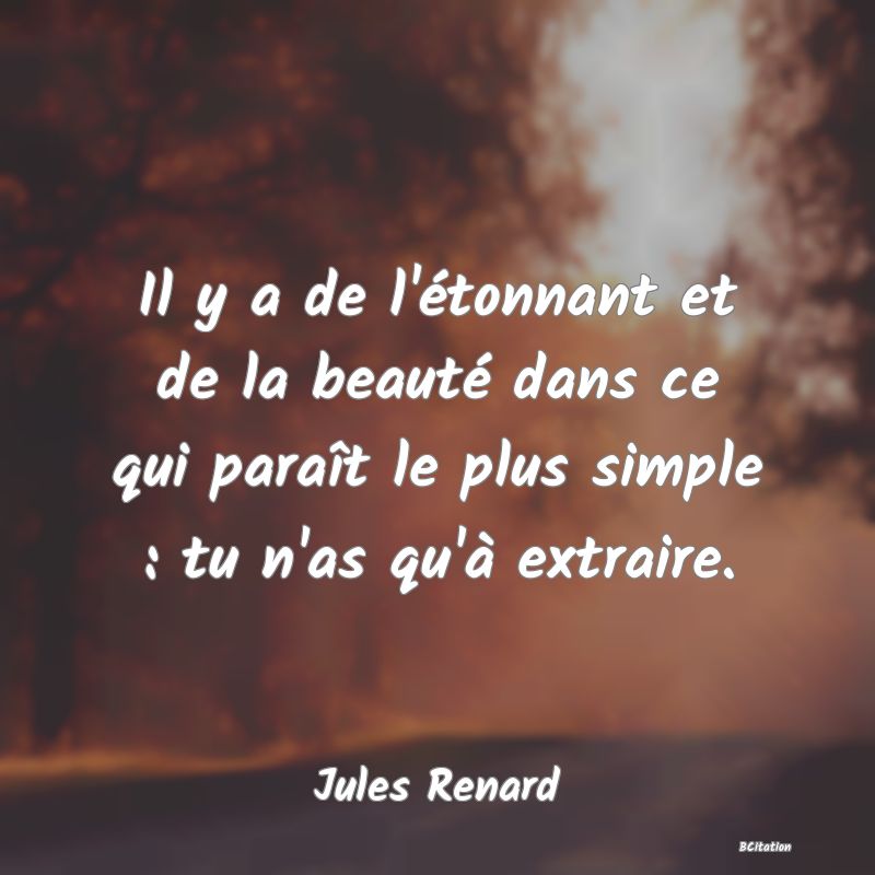 image de citation: Il y a de l'étonnant et de la beauté dans ce qui paraît le plus simple : tu n'as qu'à extraire.