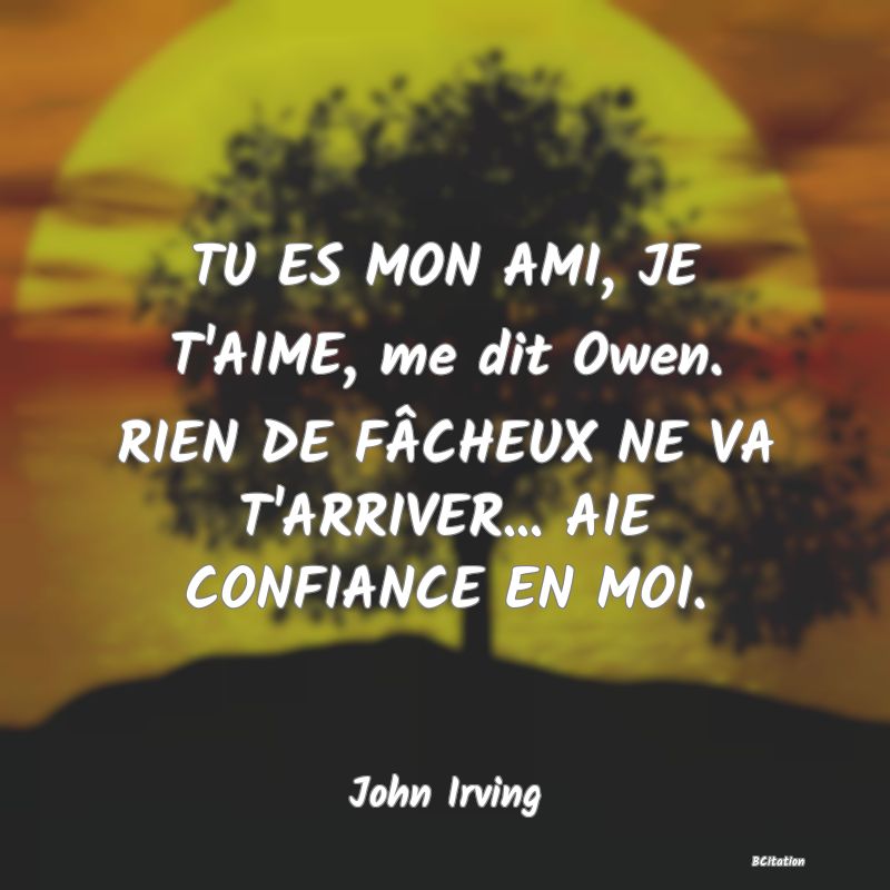 image de citation: TU ES MON AMI, JE T'AIME, me dit Owen. RIEN DE FÂCHEUX NE VA T'ARRIVER... AIE CONFIANCE EN MOI.